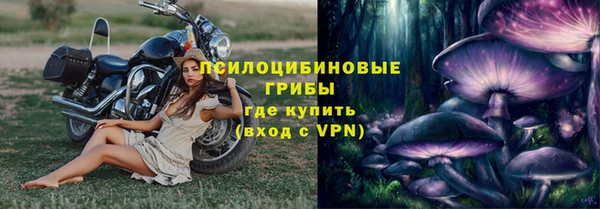 apvp Верхний Тагил